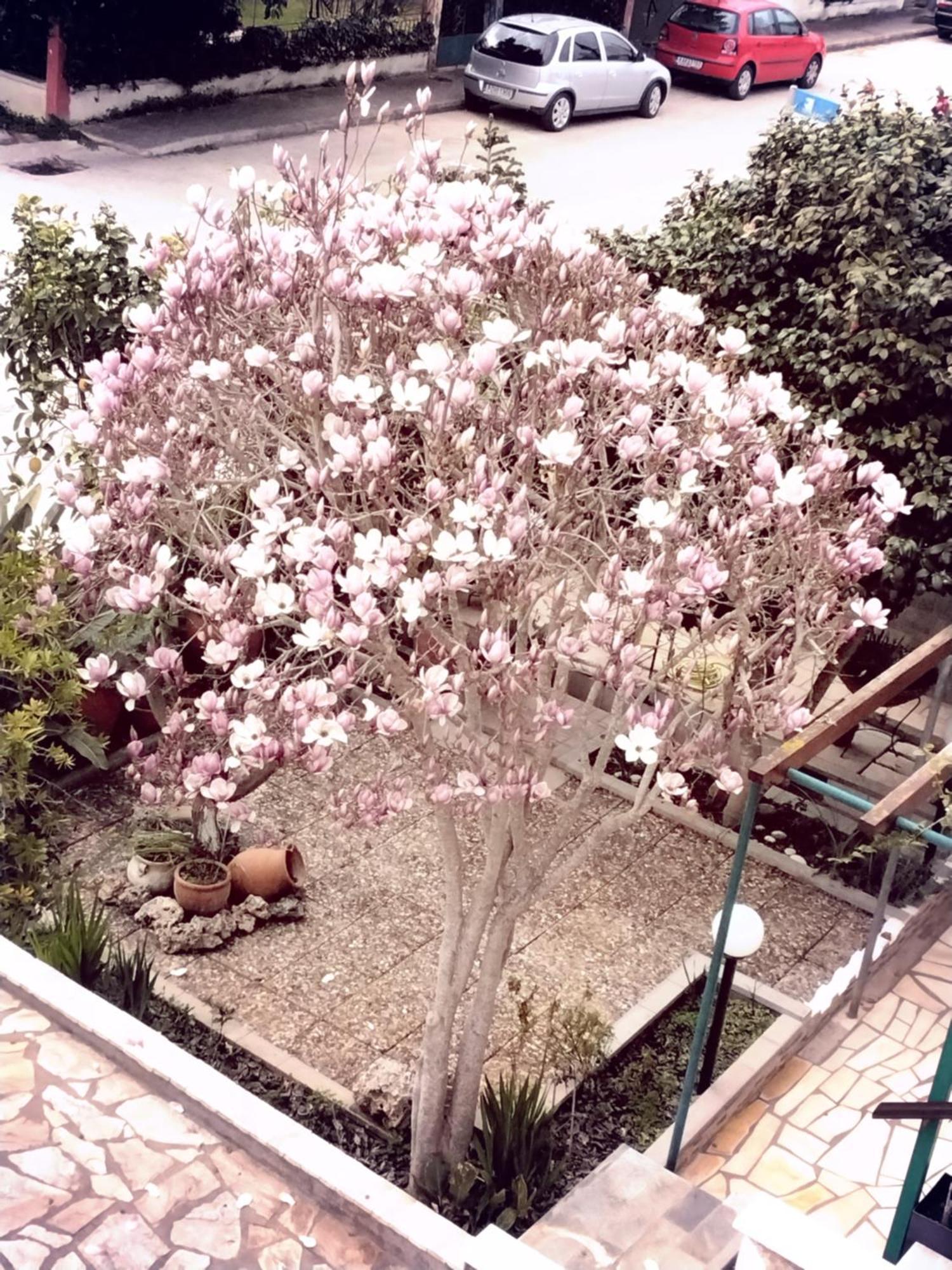 شقة Αlexandras House بريفيزا المظهر الخارجي الصورة